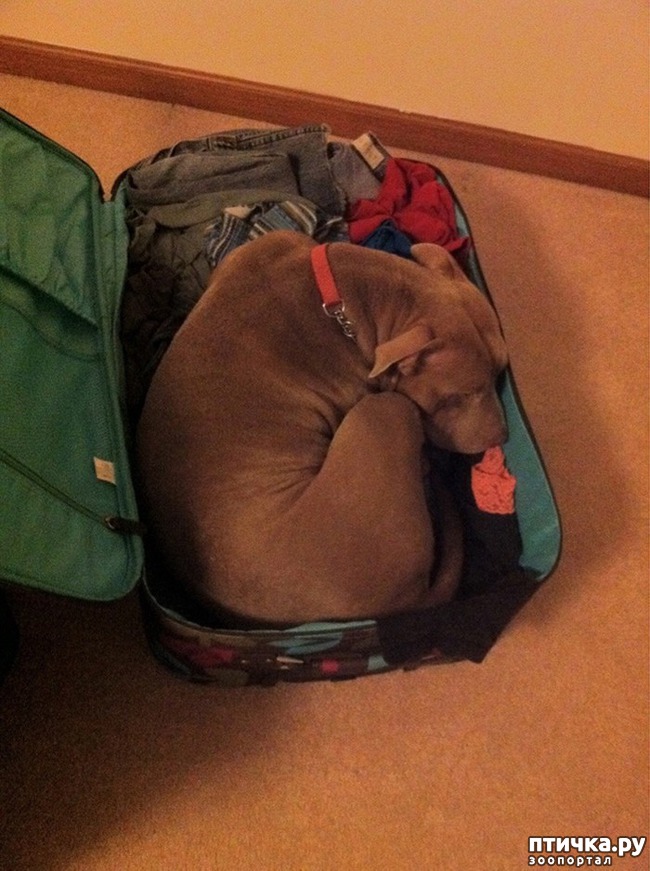 ���� 4: 15 ��������, ������� ������������ ������, ��� �� �� ����� � �����