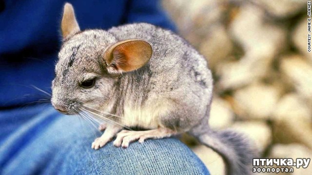 ���� 9: �����-����� 4