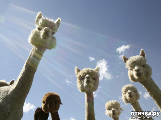 ���� 10: �����-����� 4