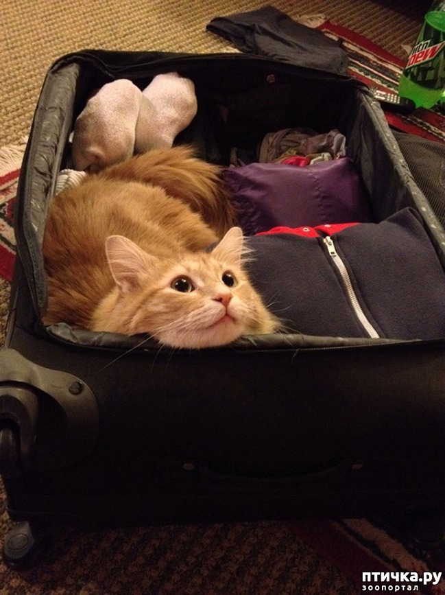 ���� 6: 15 ��������, ������� ������������ ������, ��� �� �� ����� � �����