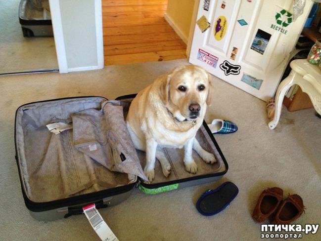 ���� 7: 15 ��������, ������� ������������ ������, ��� �� �� ����� � �����