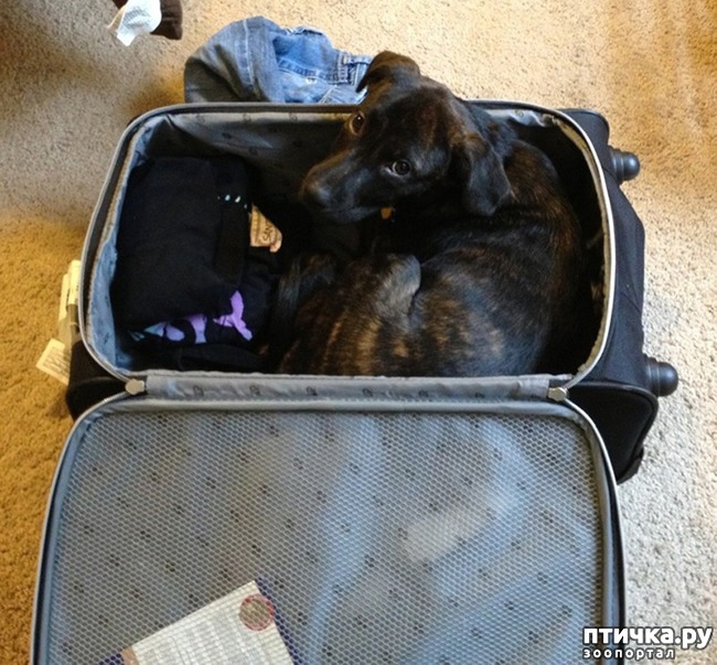 ���� 8: 15 ��������, ������� ������������ ������, ��� �� �� ����� � �����