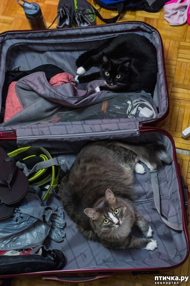 ���� 9: 15 ��������, ������� ������������ ������, ��� �� �� ����� � �����