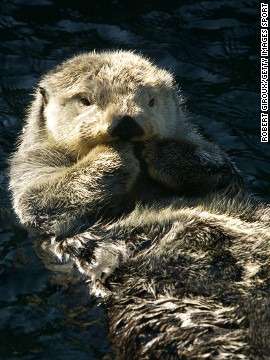 ���� 11: �����-����� 4