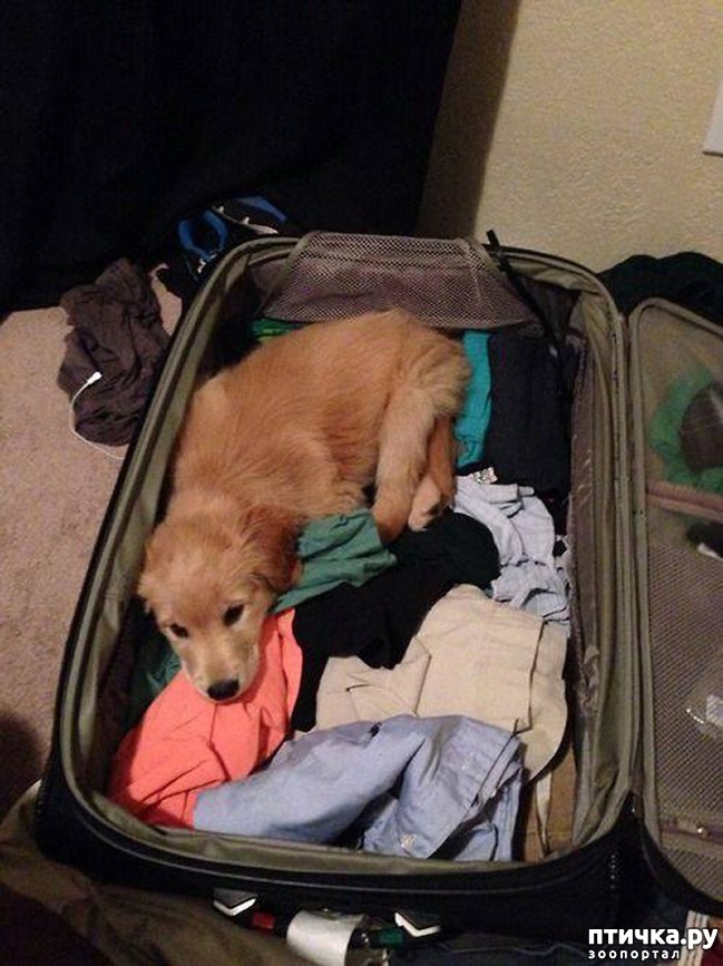 ���� 10: 15 ��������, ������� ������������ ������, ��� �� �� ����� � �����