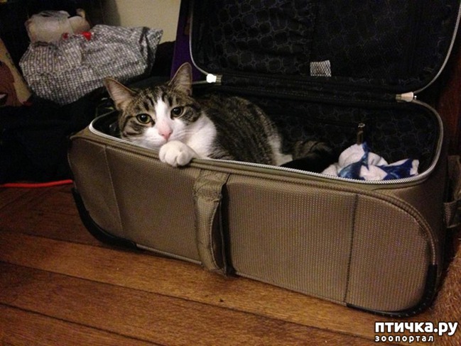 ���� 11: 15 ��������, ������� ������������ ������, ��� �� �� ����� � �����