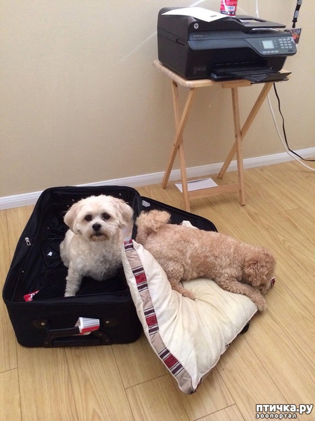 ���� 12: 15 ��������, ������� ������������ ������, ��� �� �� ����� � �����