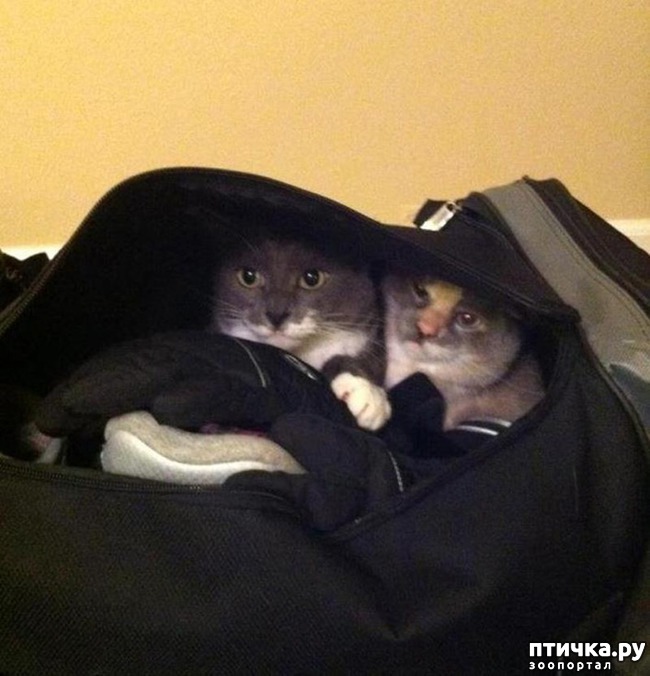 ���� 13: 15 ��������, ������� ������������ ������, ��� �� �� ����� � �����