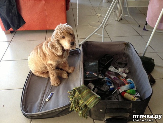 ���� 16: 15 ��������, ������� ������������ ������, ��� �� �� ����� � �����