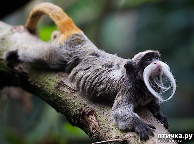 ���� 18: �����-����� 4