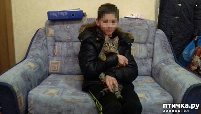 ���� 1: � ������������ ��������� ��� ���� �������