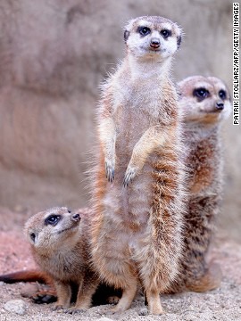 ���� 20: �����-����� 4