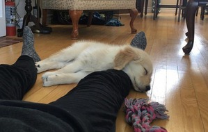 ����: ����� � �������� ��������, ������� ������� ��������� �������� ������� ���� ����)))