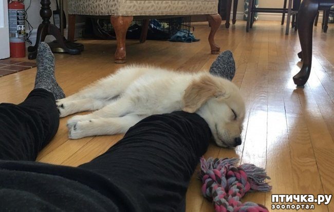 ���� 1: ����� � �������� ��������, ������� ������� ��������� �������� ������� ���� ����)))