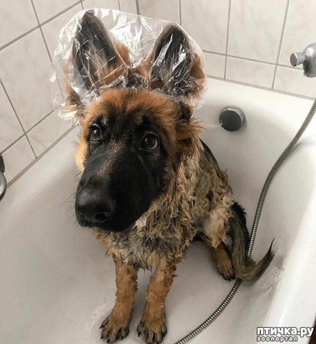 ���� 2: ����� � �������� ��������, ������� ������� ��������� �������� ������� ���� ����)))