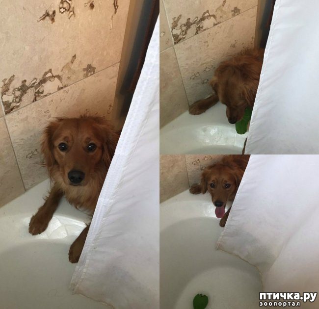 ���� 3: ����� � �������� ��������, ������� ������� ��������� �������� ������� ���� ����)))