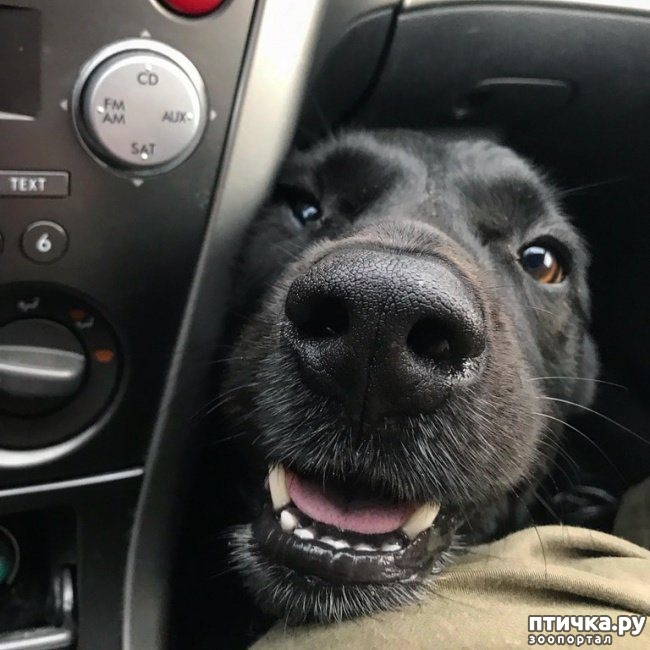 ���� 4: ����� � �������� ��������, ������� ������� ��������� �������� ������� ���� ����)))