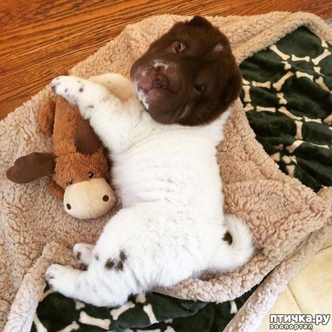 ���� 5: ����� � �������� ��������, ������� ������� ��������� �������� ������� ���� ����)))