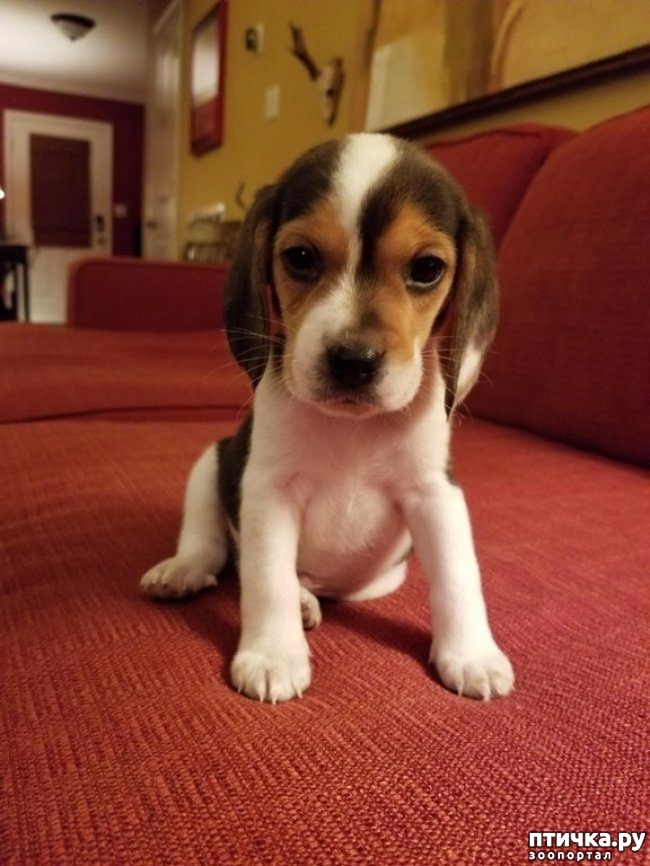 ���� 7: ����� � �������� ��������, ������� ������� ��������� �������� ������� ���� ����)))