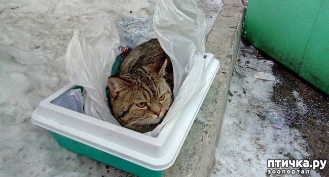 ���� 1: ������� ������ ����... ���� � ��������