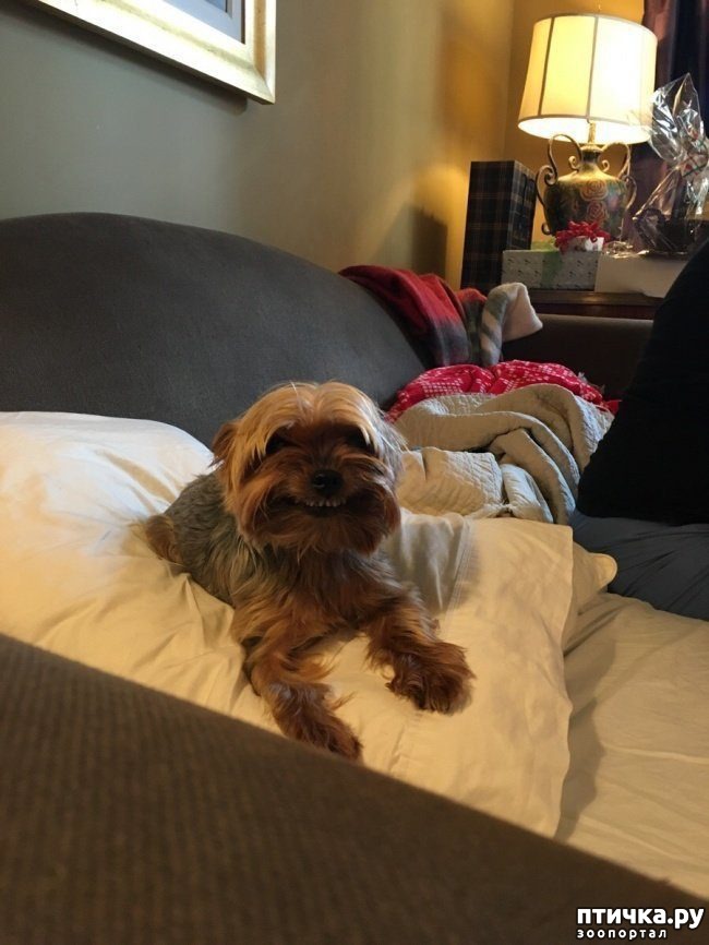 ���� 11: ����� � �������� ��������, ������� ������� ��������� �������� ������� ���� ����)))