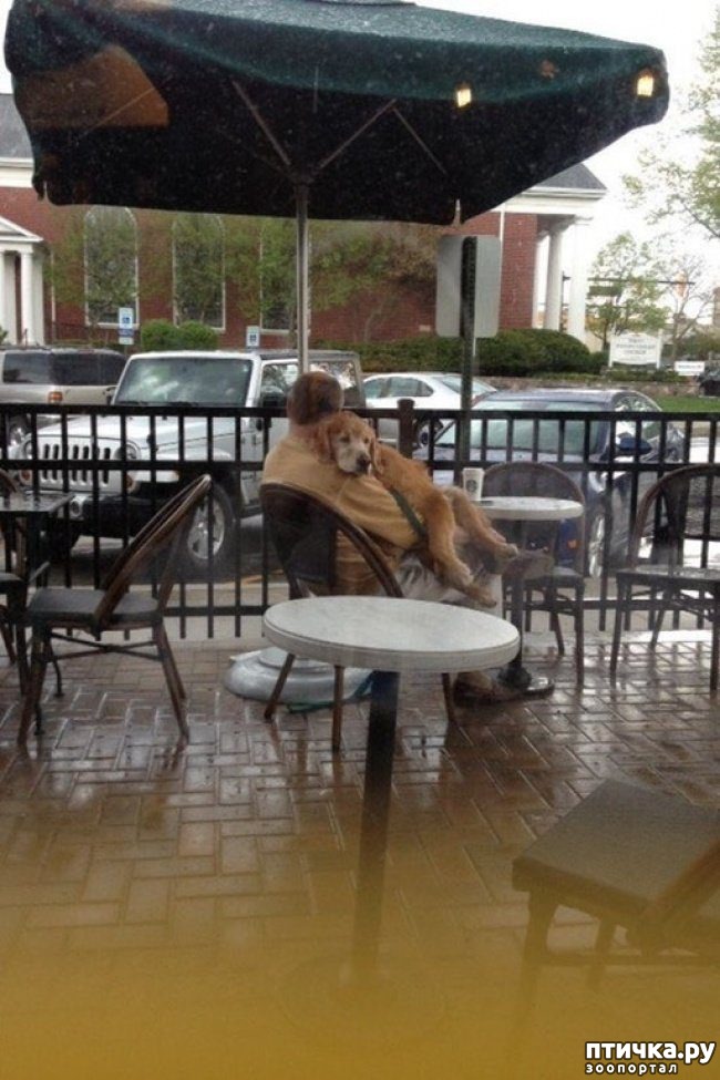 ���� 12: ����� � �������� ��������, ������� ������� ��������� �������� ������� ���� ����)))