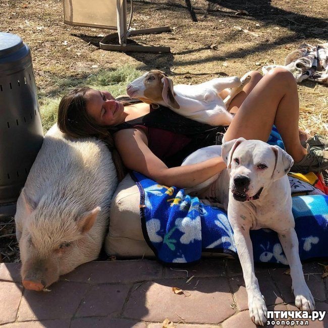 ���� 15: ����� � �������� ��������, ������� ������� ��������� �������� ������� ���� ����)))