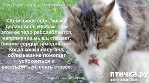 ����: ���������� ����� � ������: �������� �������� �����.