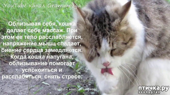 ���� 1: ���������� ����� � ������: �������� �������� �����.