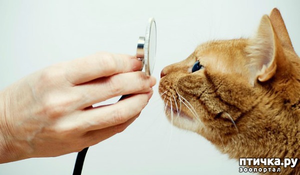 ���� 2: ���������� ����� � ������: �������� �������� �����.