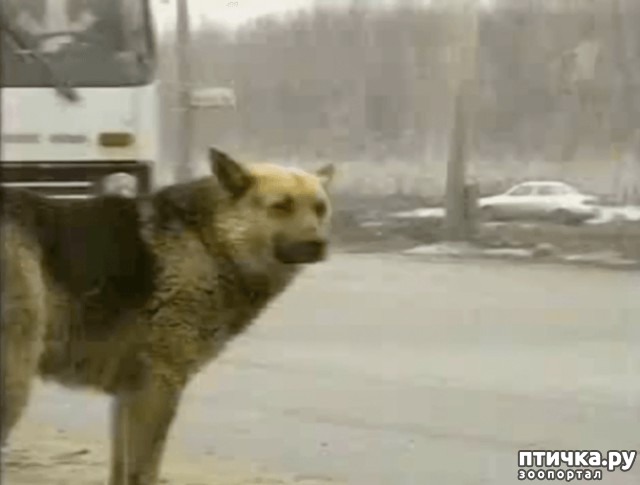 ���� 2: ������ �������� �������� � ��������