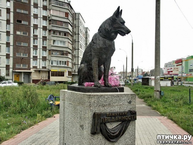 ���� 1: ������ �������� �������� � ��������