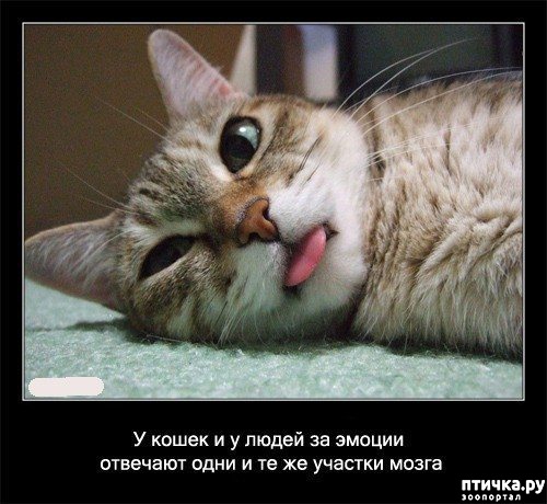 ���� 4: ���������� ����� � ������: �������� �������� �����.