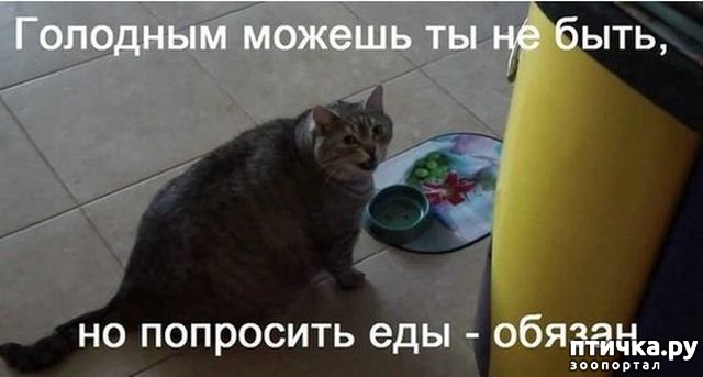 ���� 5: ���������� ����� � ������: �������� �������� �����.