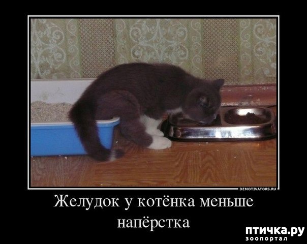 ���� 6: ���������� ����� � ������: �������� �������� �����.