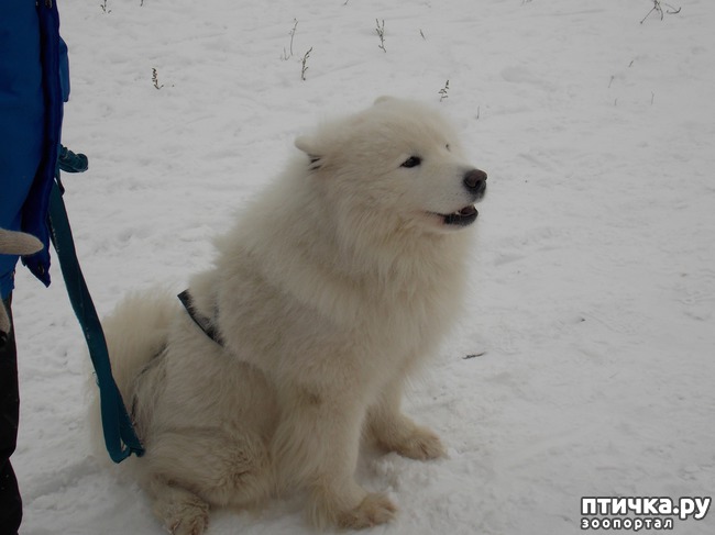 ���� 11: ������ �������� ����.