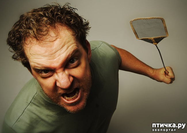 ���� 1: ������ �������� � �����������! ��� ��������