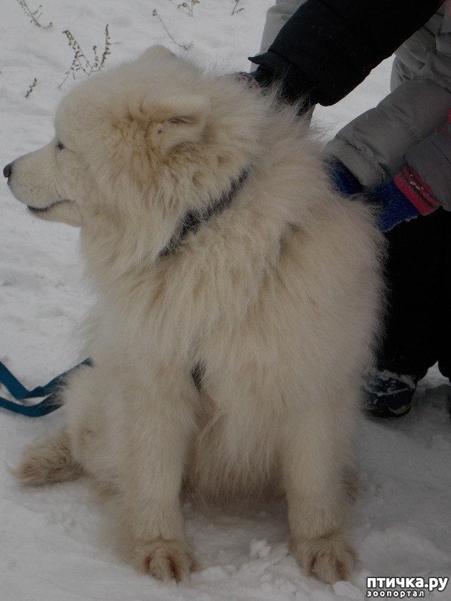 ���� 12: ������ �������� ����.