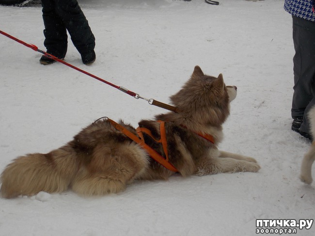 ���� 13: ������ �������� ����.