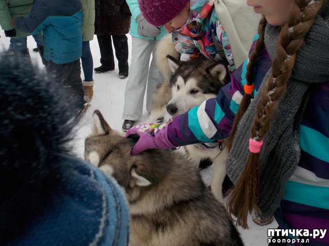 ���� 14: ������ �������� ����.