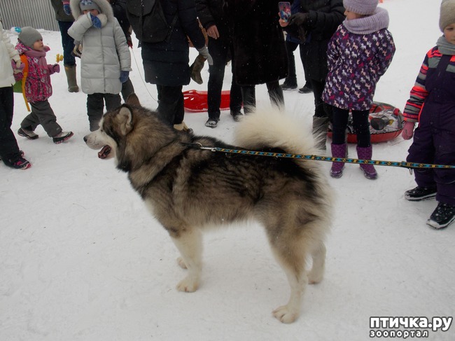 ���� 15: ������ �������� ����.