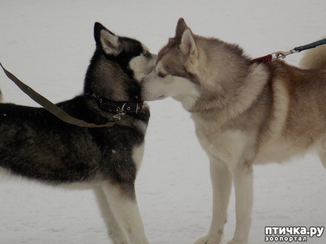 ���� 16: ������ �������� ����.