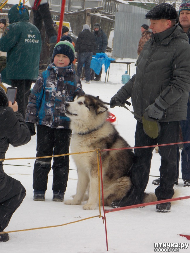 ���� 22: ������ �������� ����.