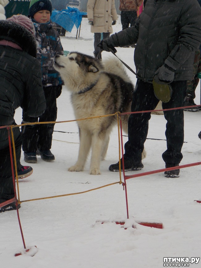 ���� 23: ������ �������� ����.