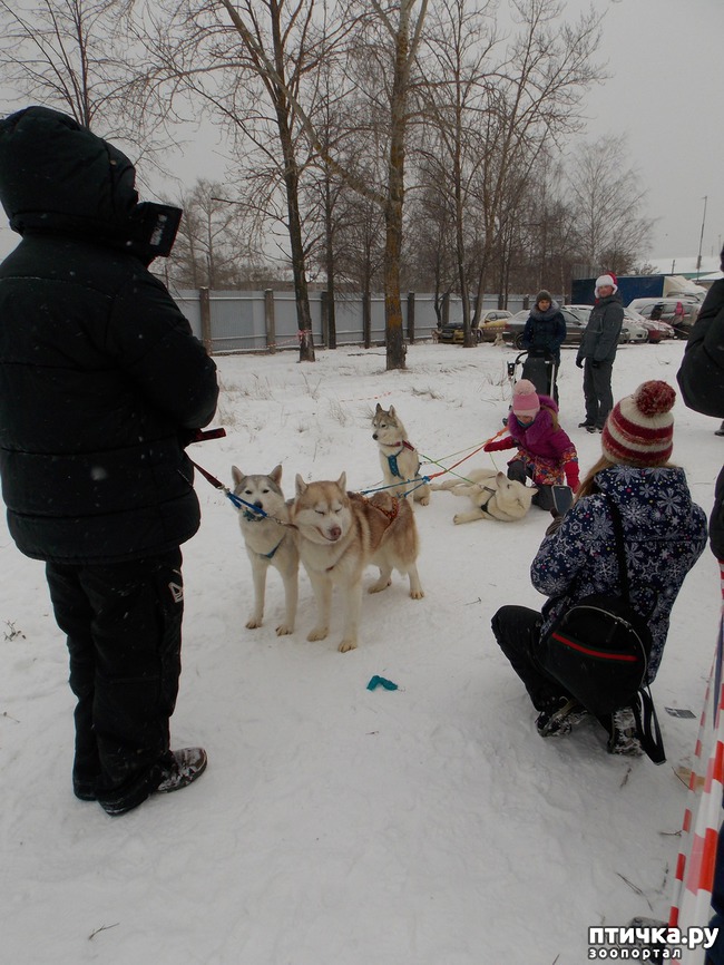 ���� 24: ������ �������� ����.