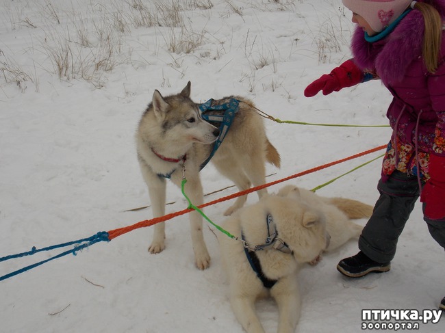 ���� 26: ������ �������� ����.