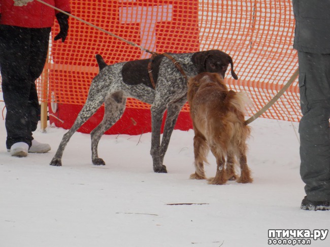 ���� 27: ������ �������� ����.