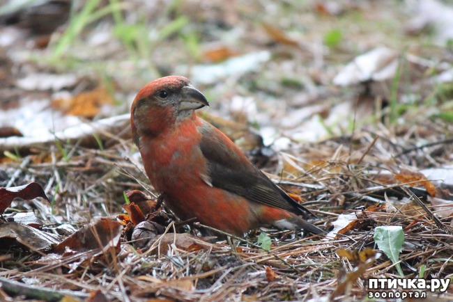 ���� 1: ������