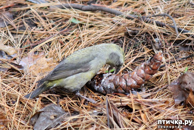 ���� 2: ������