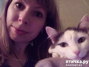 ����: ���� �����. ������ ����.